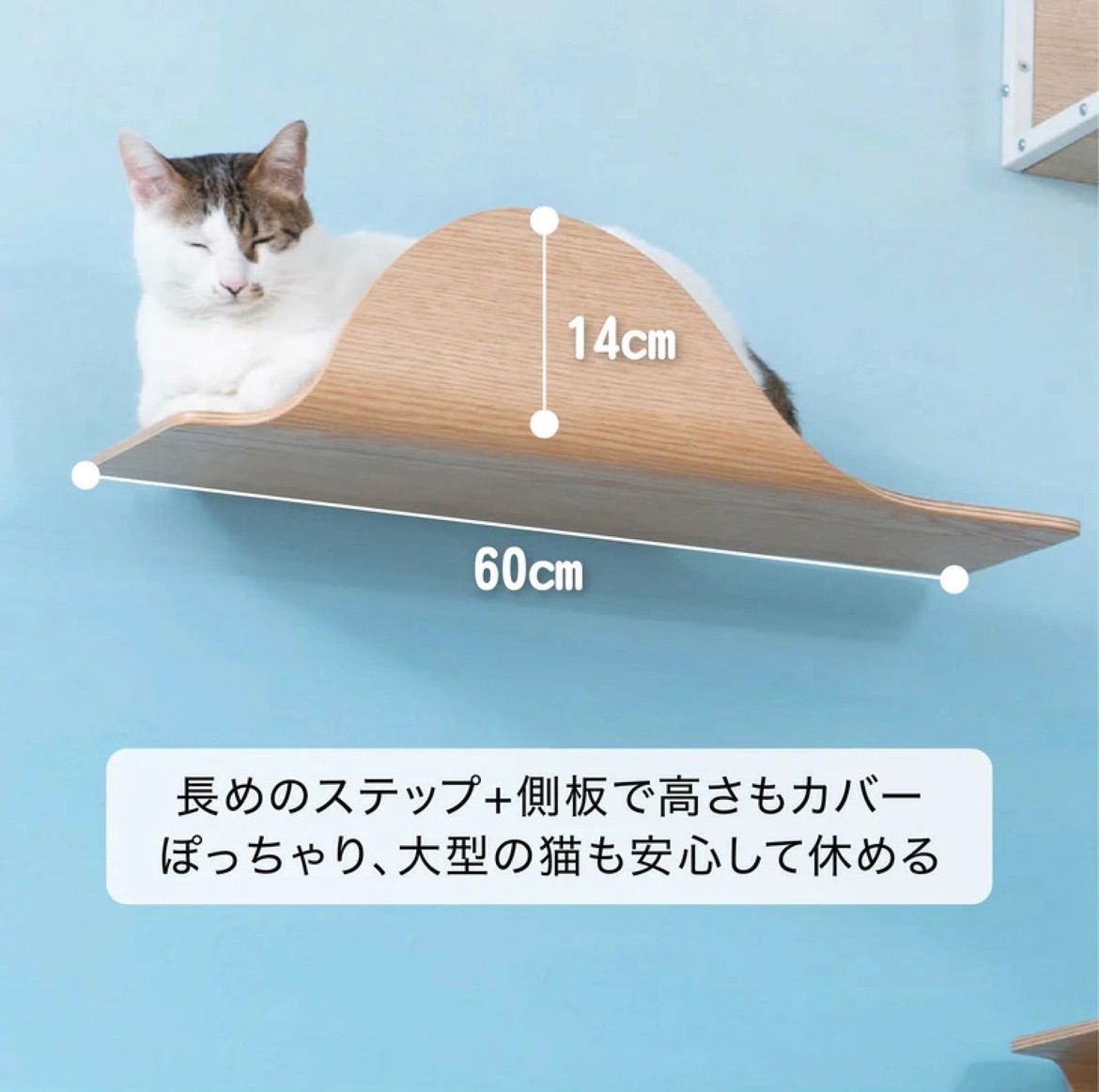キャットウォーク