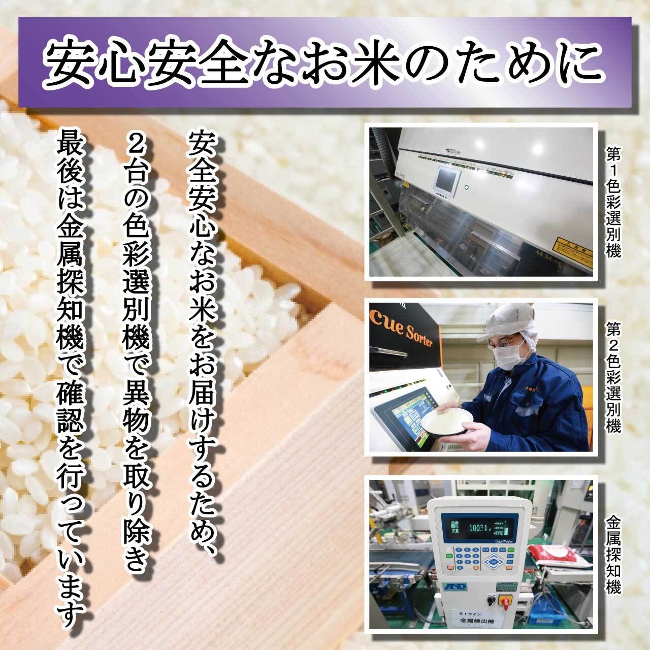 無洗米 石川県産こしひかり 10kg 石川産 石川 コシヒカリ 能登 産地 