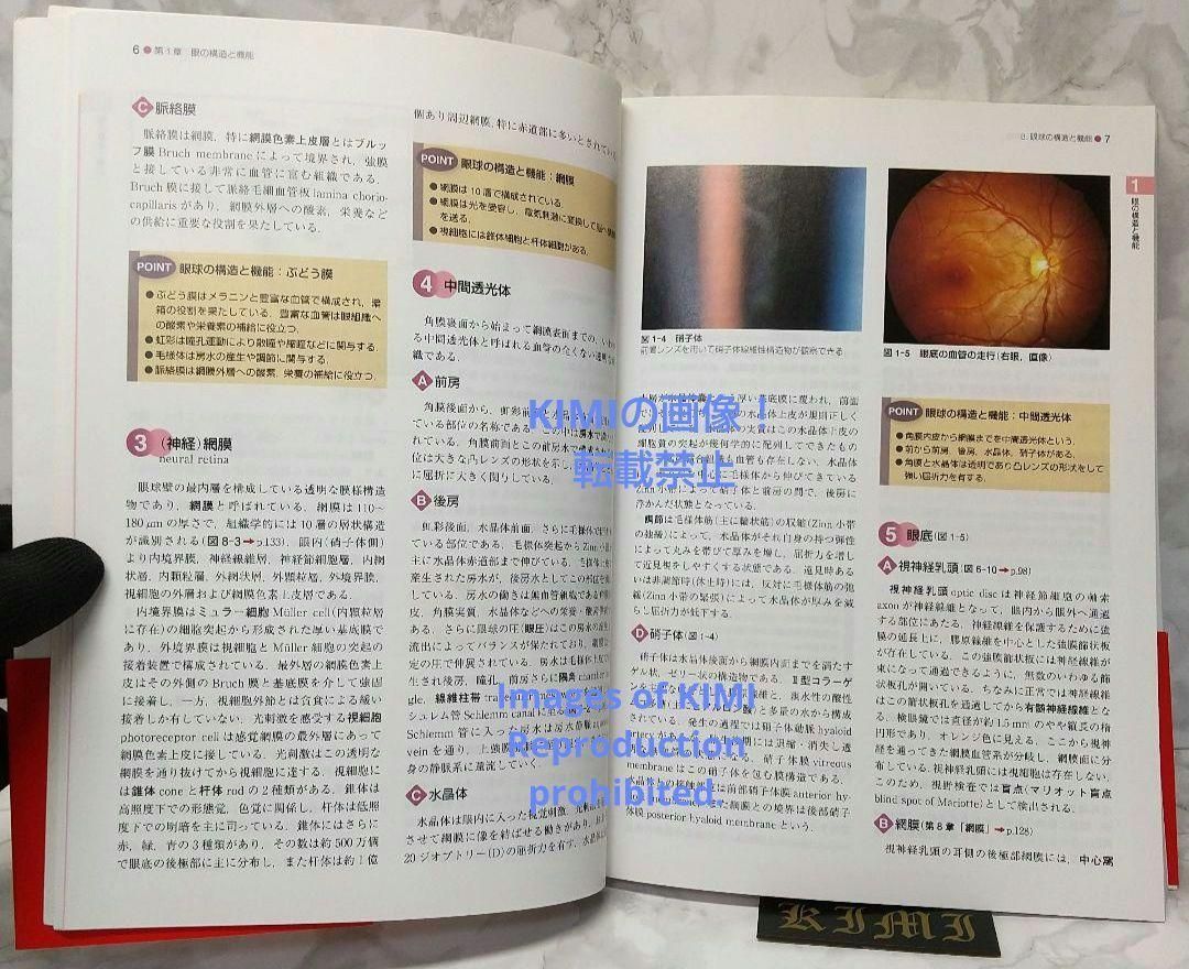 標準眼科学 第12版 単行本 2015 木下 茂 医学書院 木下 茂 ひょう 