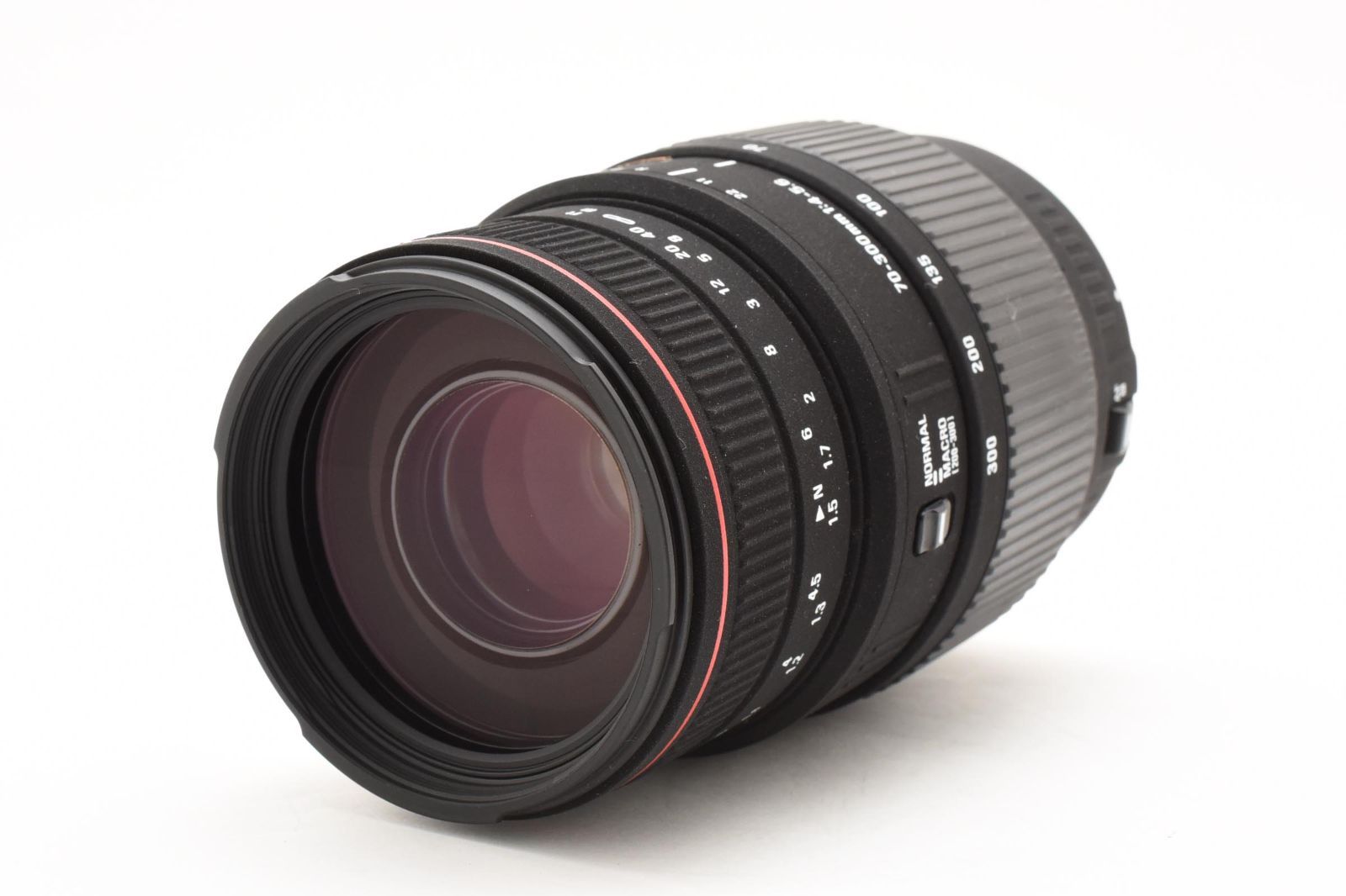 APO 70-300mm F4-5.6 DG MACRO:シグマ (sigma) レビュー : 【旧】写真 
