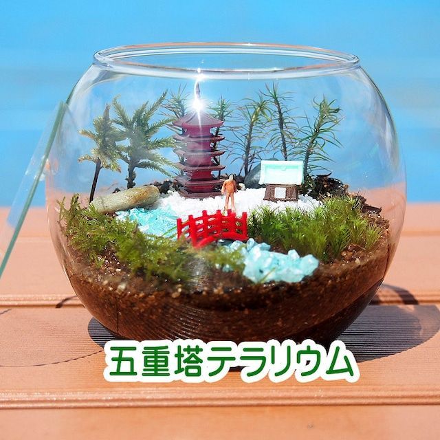 五重塔 日本情景 苔テラリウム 手作りキット 一式 観葉植物 おしゃれ ミニ テラリウム コケリウム 苔 コケ アクアリウム 園芸 インテリア 緑 苔盆栽 癒し moss