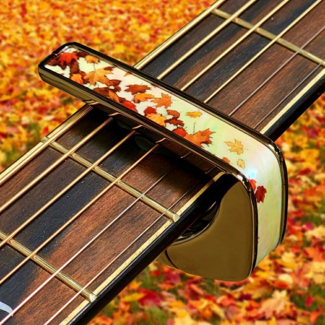 タリア カポ Thalia Capos Limited Series BC-AUTUMN PEARL AUTUMN PEARL Black Chrome ギター 12インチフレットパッド付属 WWW_TRAVELLANDINDIA_COM