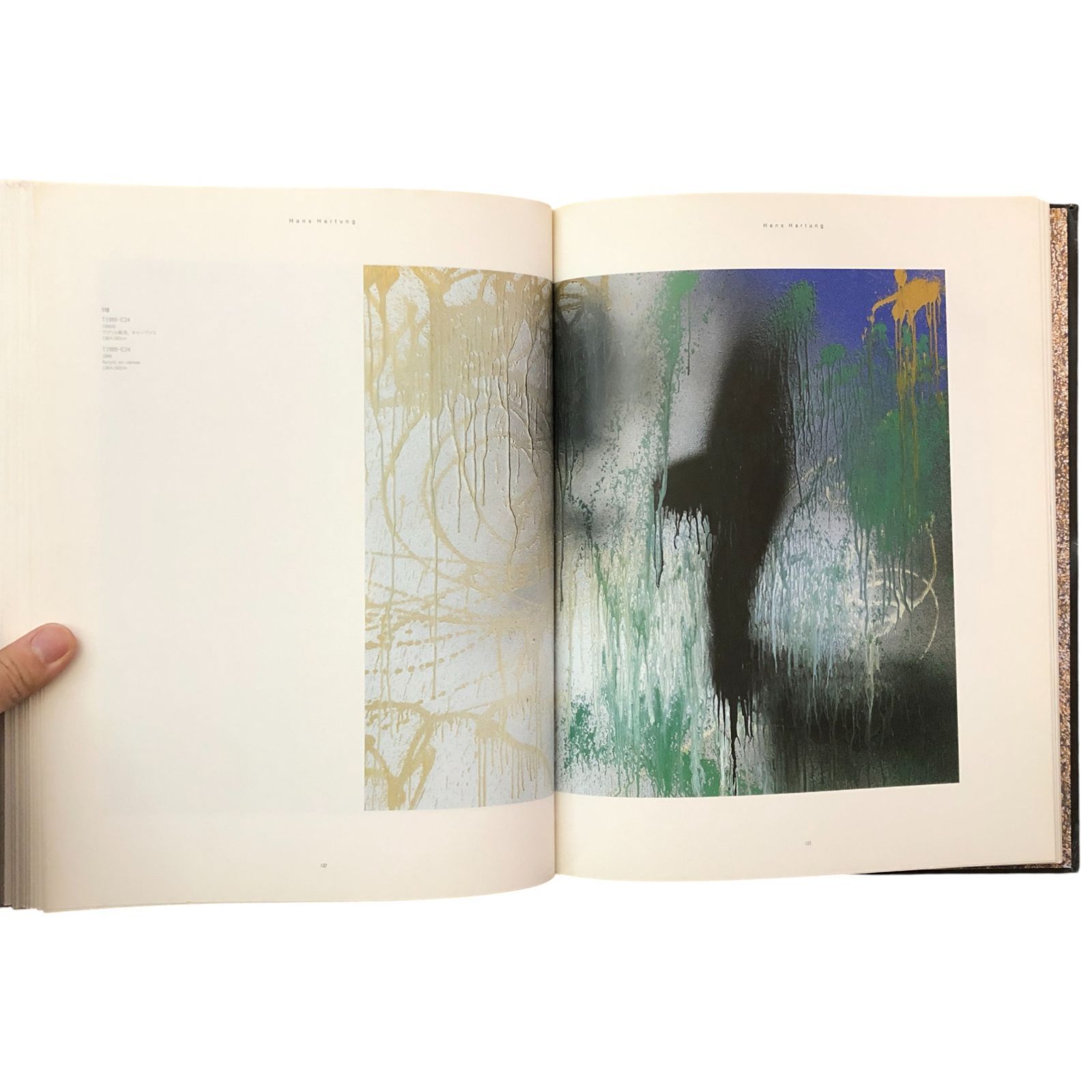アンス・アルトゥング展 HANS HARTUNG 村上博哉, 古田浩俊（編集