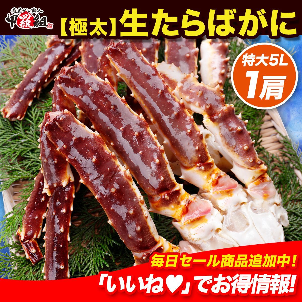 ?ボイルよりも鮮度抜群♪ 特大 生たらば シュリンク 1kg 5Lサイズ×1肩 たらば たらばがに タラバ タラバガニ 蟹足 加熱用 シュリンク 冬ギフト 甲羅組