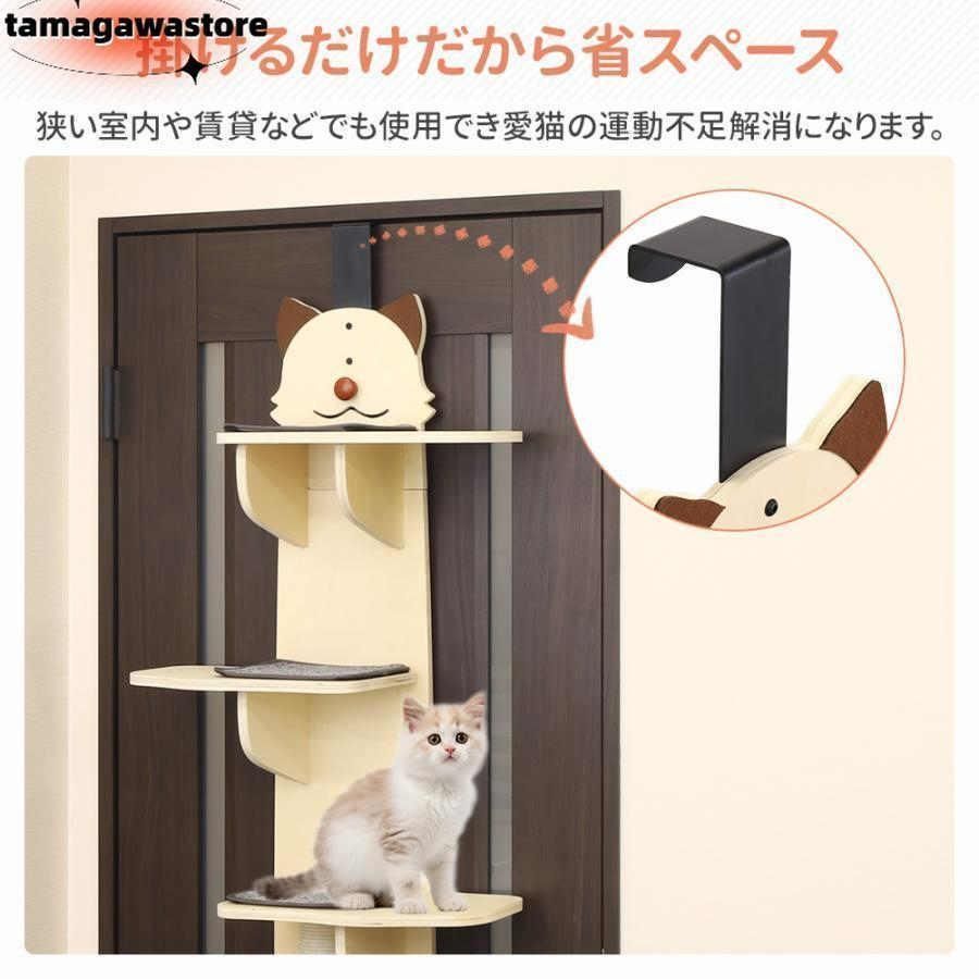 多頭飼い 猫