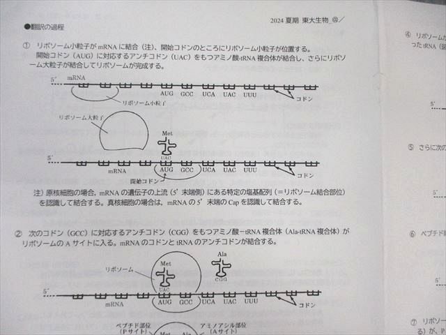 駿台 東大生物 2024 夏期 佐野芳史 012m0D 駿台 東大生物 2024 夏期 佐野芳史 012m0D - メルカリ