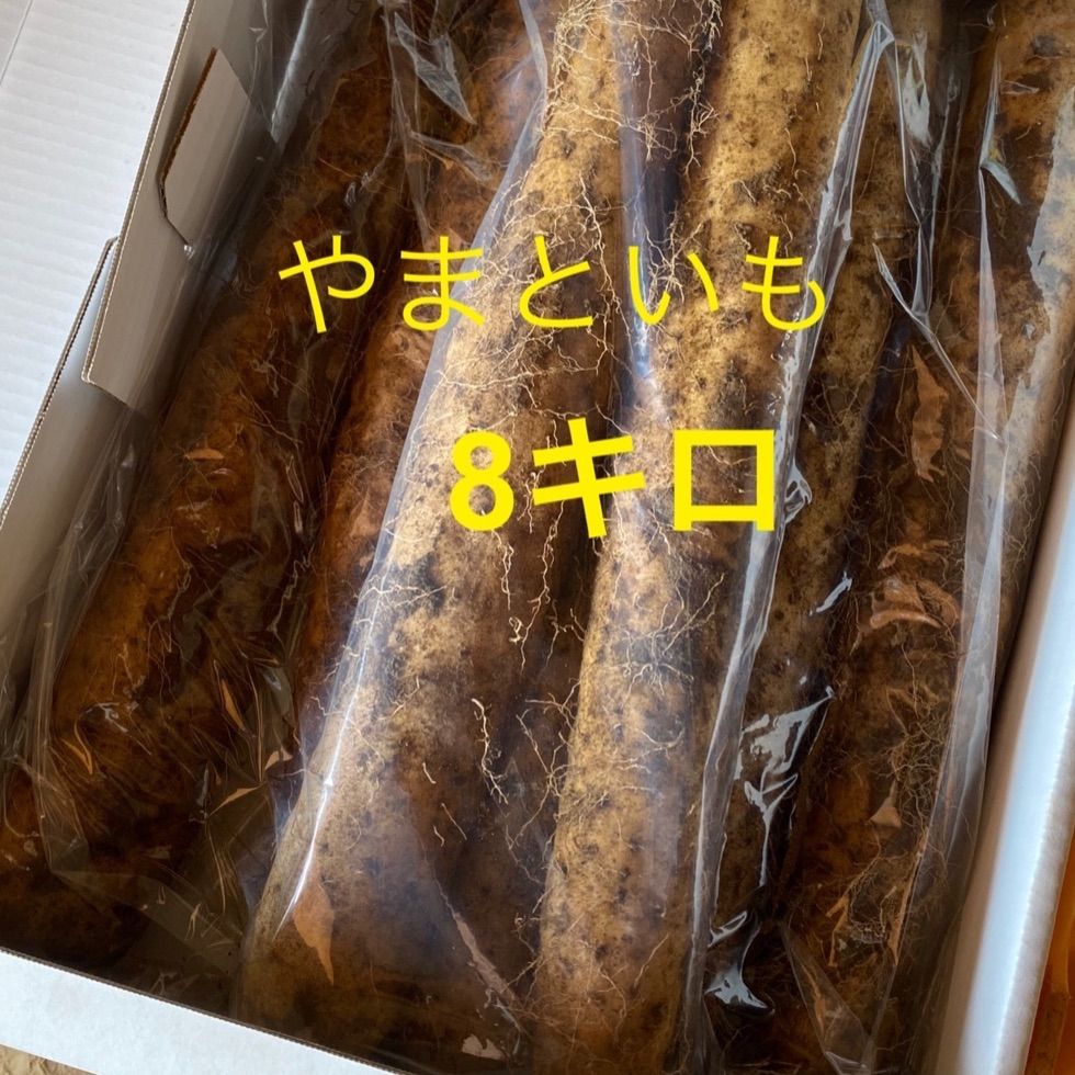 業務用 やまといも 8キロ 群馬県産
