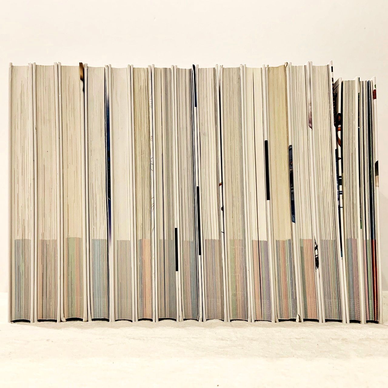 小学館の図鑑NEO 16冊セット 小学館 クラフトブック 昆虫