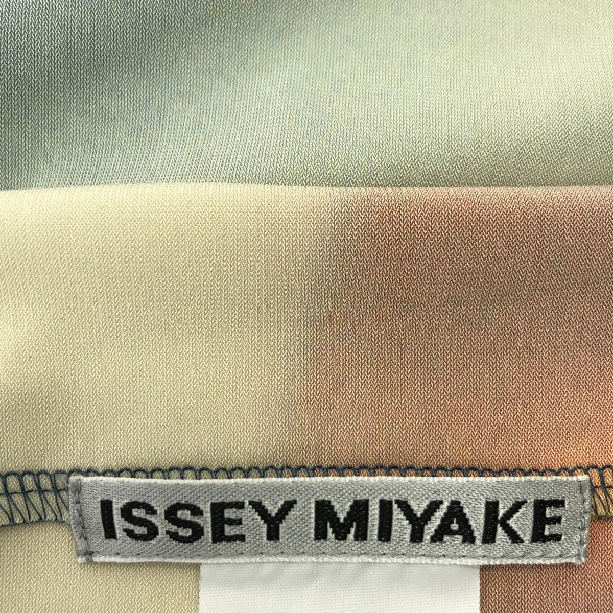 美品】 ISSEY MIYAKE / イッセイミヤケ | 2024SS | LIGHT LEAK  