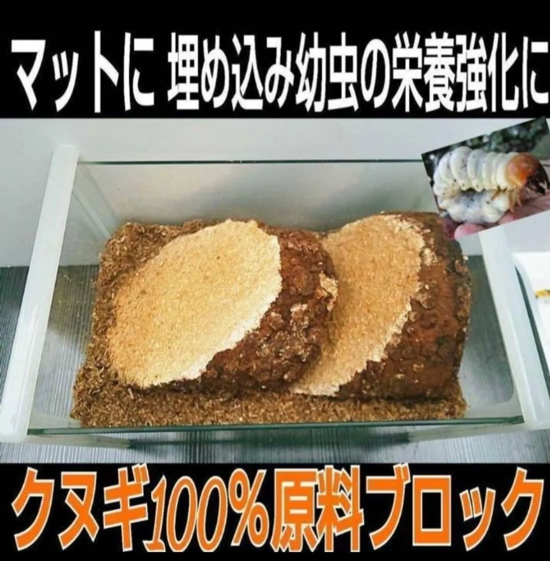 カブトムシ幼虫の栄養強化に抜群！椎茸菌床ブロック☆丸ごと発酵マットに埋め込むと幼虫が潜り込みモリモリ食べます クヌギ100％原料使用 - 虫類