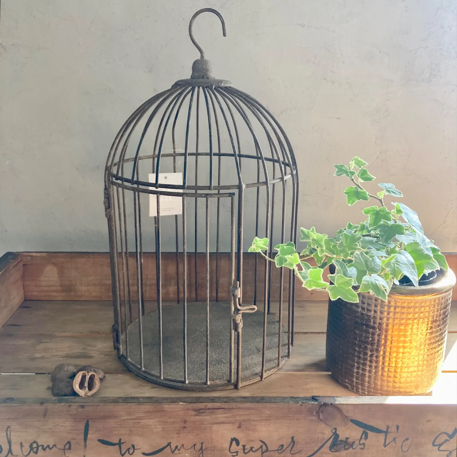 2026年最新】ドライガーデン プランターの人気アイテム - メルカリ