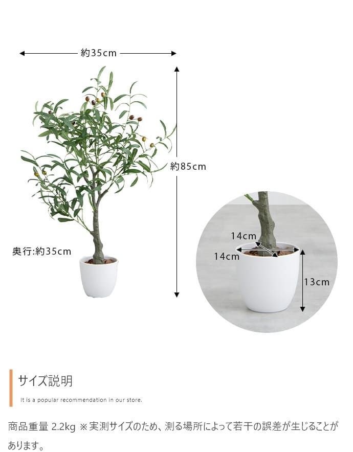高さ85cm】Nature 光触媒人工観葉植物 オリーブ 【公式通販】