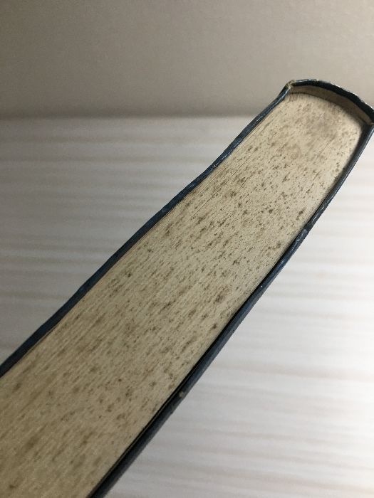 初版❗️研究資料現代日本文学（昭和55） 地方初級教養試験 過去問350 2025年版 - メルカリ