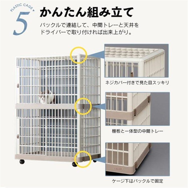 公式