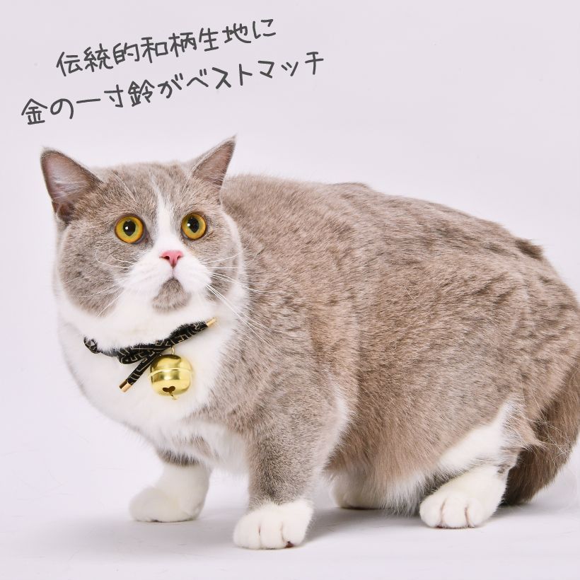 猫首輪 《 紗綾の大鈴 》 日本製 セーフティーバックル ネコ 繁栄 長寿を願う めでたい模様 紗綾形 首輪 かわいい 鈴チャーム付き 猫 猫用首輪  Sサイズ Mサイズ 鈴 チャーム 猫専用バックル 猫 デカ鈴 - メルカリ