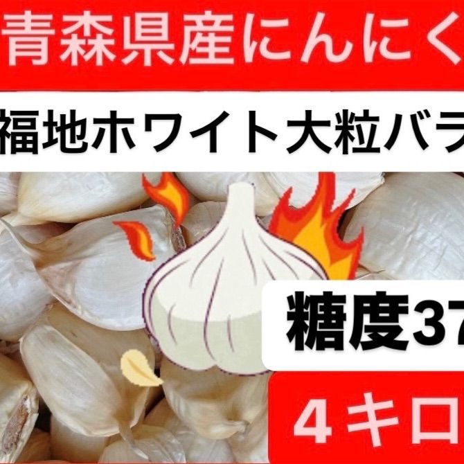 青森県産にんにく 福地ホワイト大粒バラ ４キロ