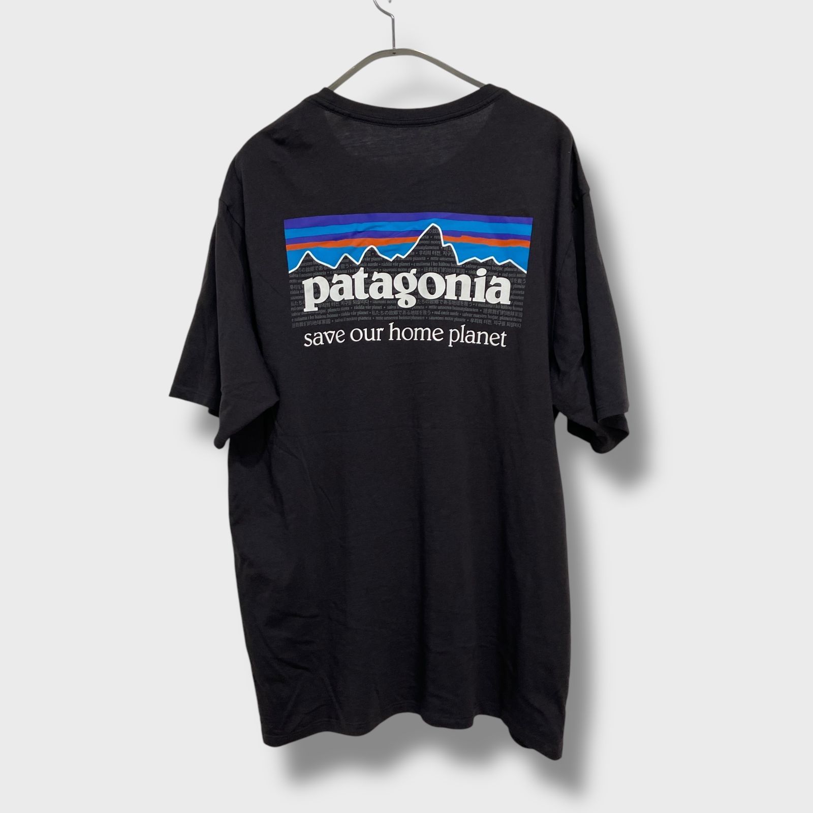 ☆patagonia☆パタゴニア☆P-6☆プリントTシャツ☆バックプリント 