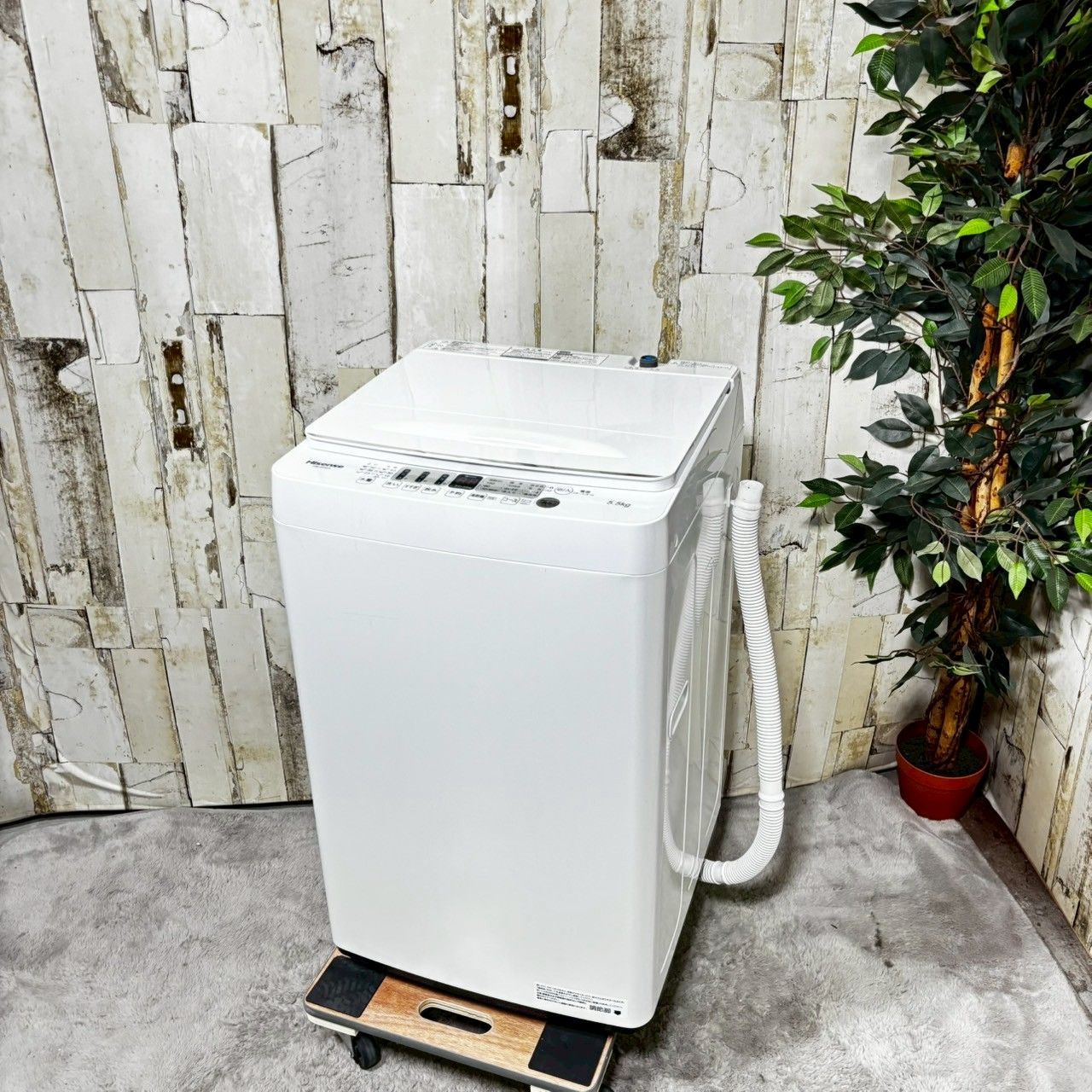 2022年製】 Hisense ハイセンス HW-E5504 洗濯機 5.5kg 【公式通販】