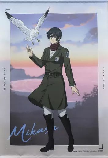 10点限定 】 当選品 進撃の巨人 ミカサ タペストリー NewDays