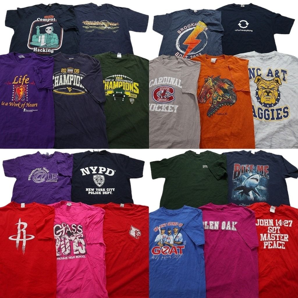 古着卸 mix プリント 半袖Tシャツ 20枚セット メンズ L 人物 アニマル 動物 チームロゴ ワンポイント 古着 NA1791