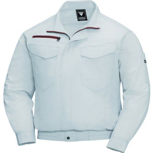 にしな メジャーデビュー前のサイン入り手焼きCD かなりの希少品 注文