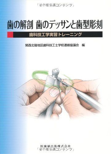 歯の解剖 歯のデッサンと歯型彫刻歯科技工学実習トレーニング