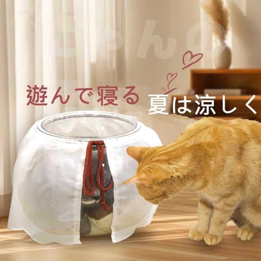 【激レア】にゃんにゃんにゃんこ　金魚鉢　小物入れ Amazon | 【LL】にゃんこの金魚鉢 猫 | ノーブランド品 | ハウス