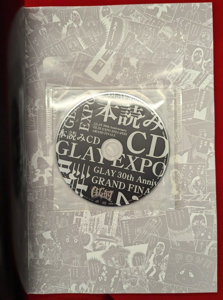 GLAY expo パンフレット GLAY 24-25年 GLAY EXPO 30th Anniversary GRAND FINALE