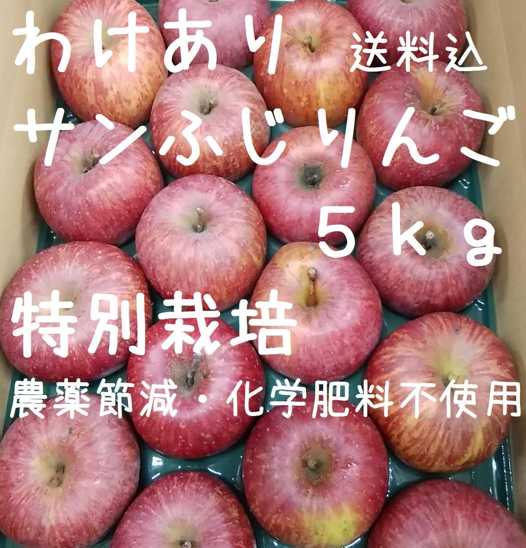 わけありサンふじりんご5kg《特別栽培・JGAP》