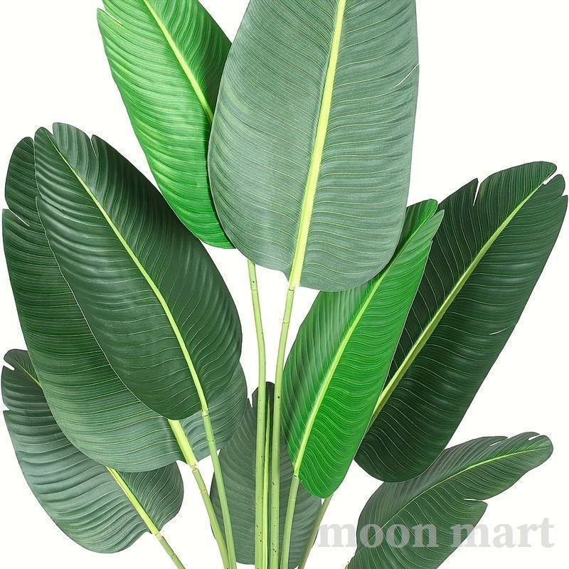観葉植物