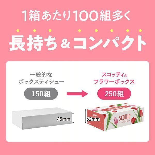 ポケモン スコッティ