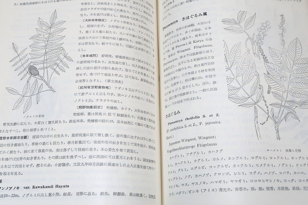 樹木大図説・索引・4冊/上原敬二/164科・約1600属・約1万に近い種・変種・品種を収録し日本産の木本植物の大部分と主要な外国産樹木を含む -  メルカリ