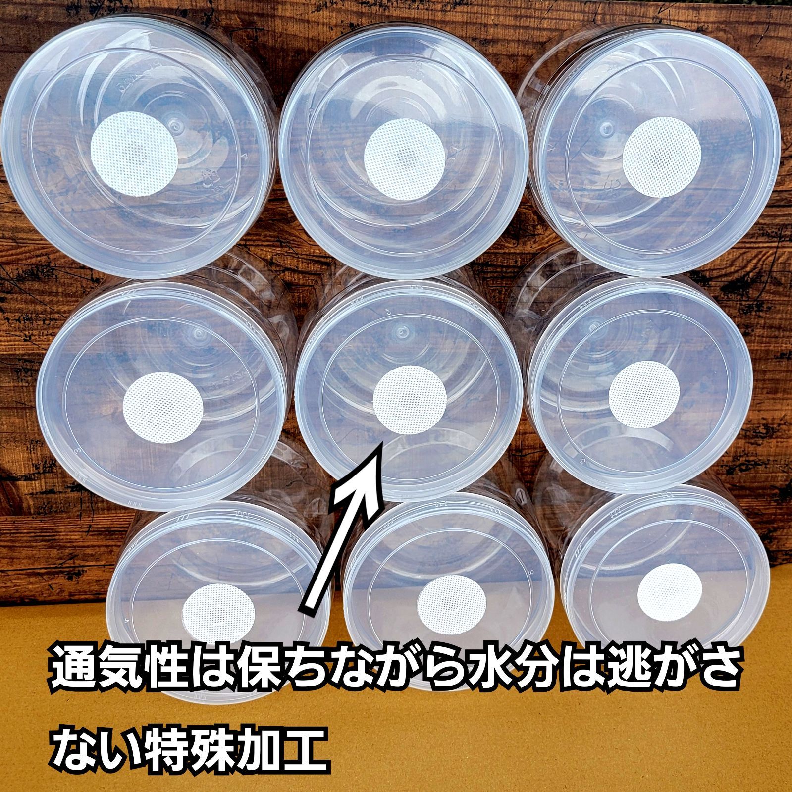 12本セット 中がよく見えるクリアタイプで幼虫の成長や食痕がよく観察できます