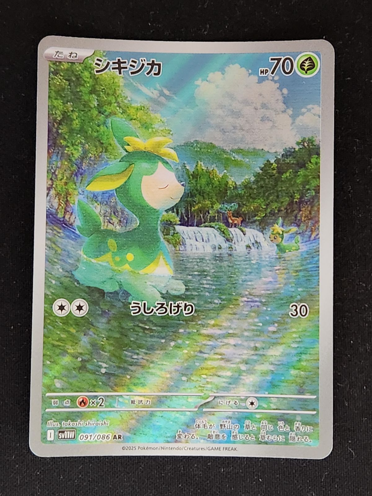 シキジカ AR - メルカリ