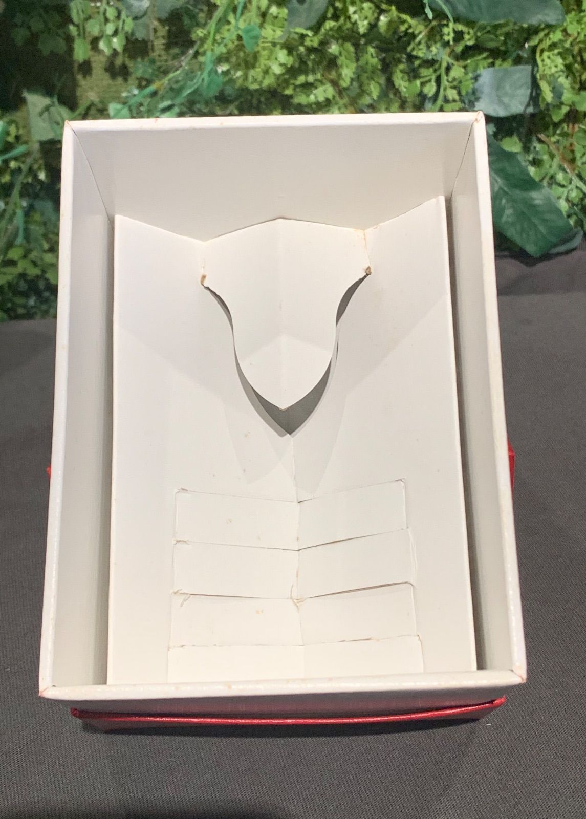 バカラ ローハン