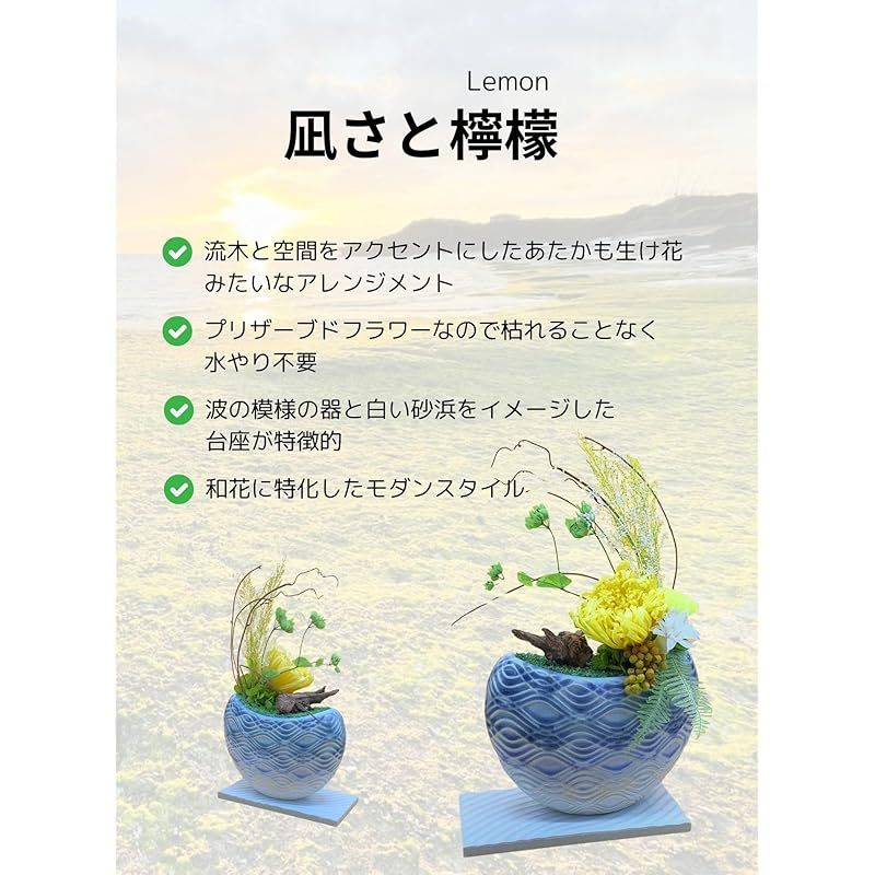 和花専科