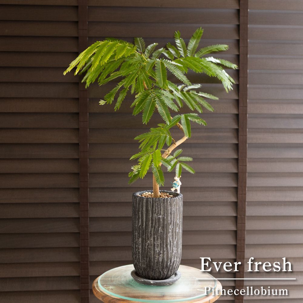 テラニアスローバルーンプランターポット14号 プランター おしゃれ 軽い テラニアスローバルーンS＜ 42cm 14号