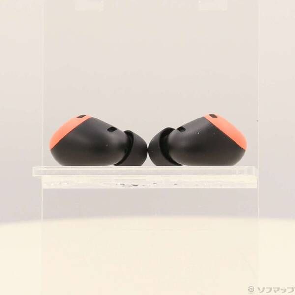 ソテツ　引取り限定 直接引取り限定】ソテツ 2m 大きい 【公式通販】
