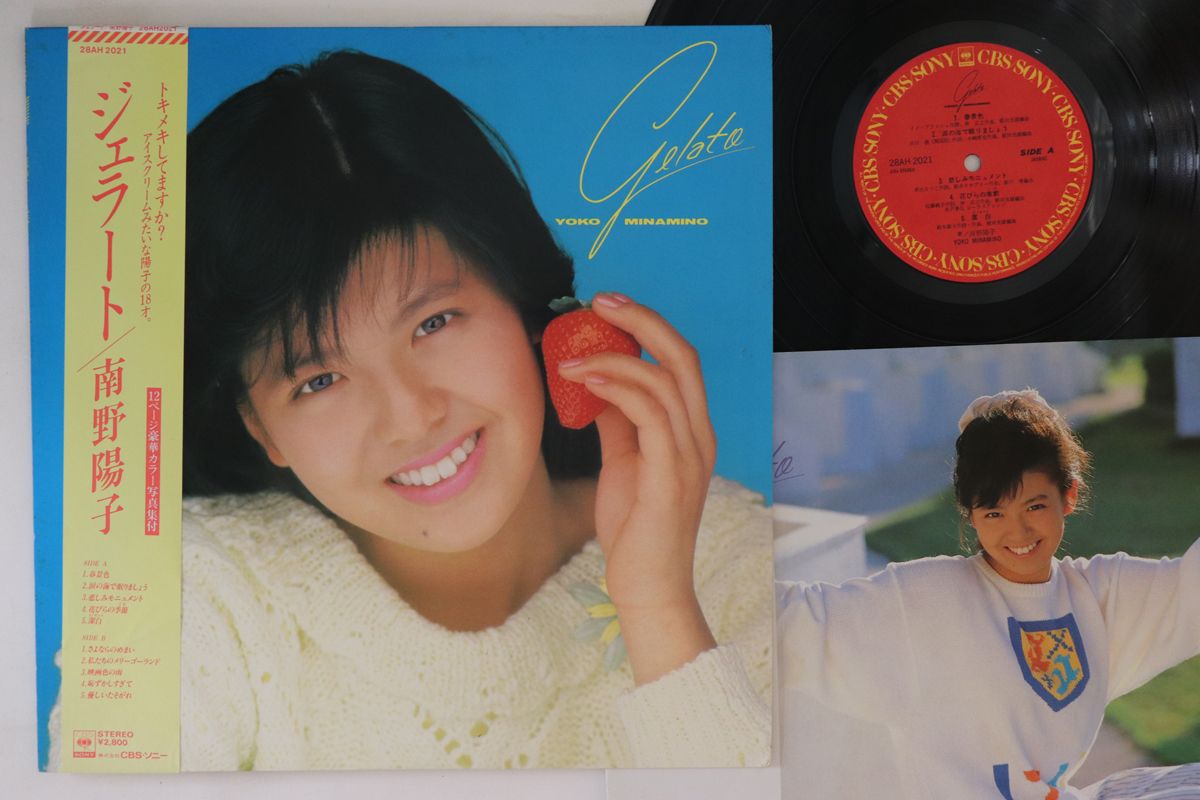 南野陽子 楽園のdoor 07SH1865 | レコード通販