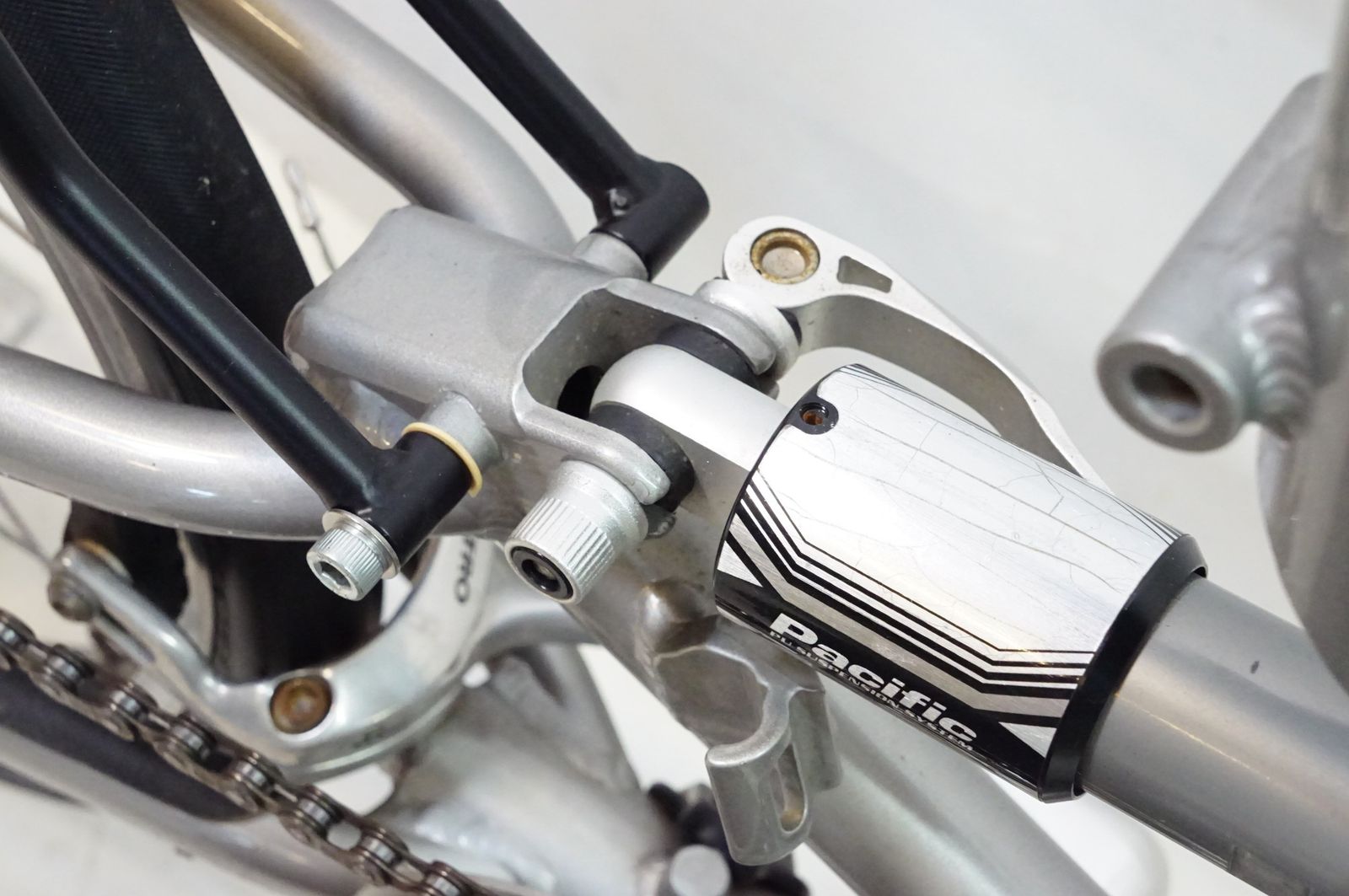 TARTARUGA タルタルーガ