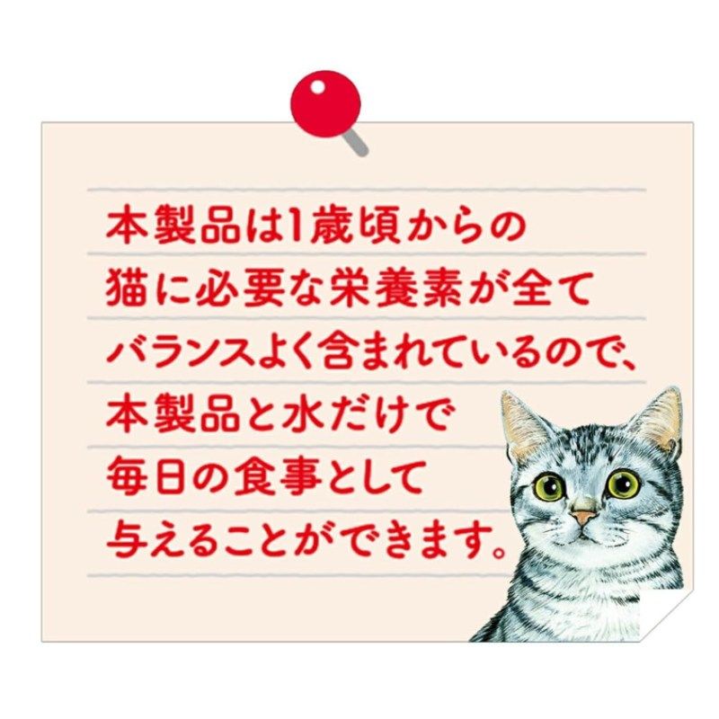キジトラ 茶トラ