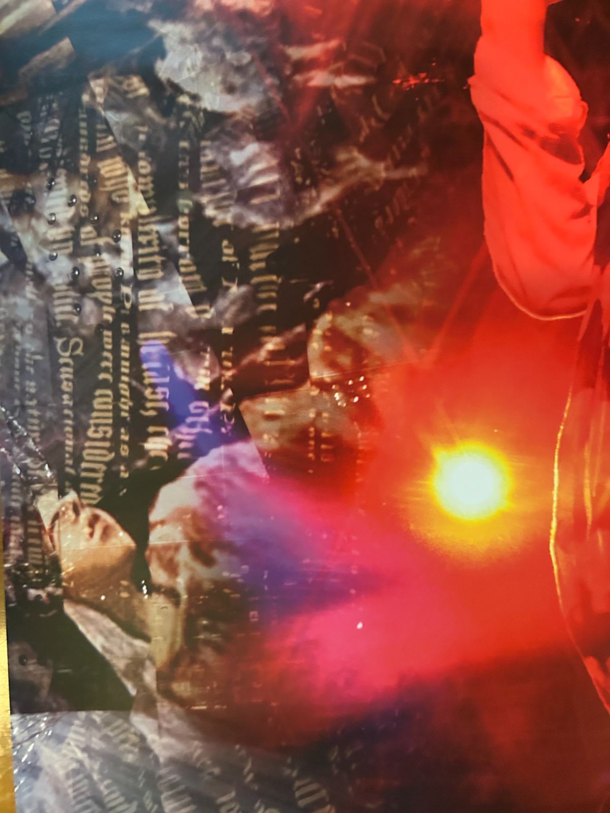 アシッド・ブラック・チェリー Acid Black Cherry / Q.E.D 2008年