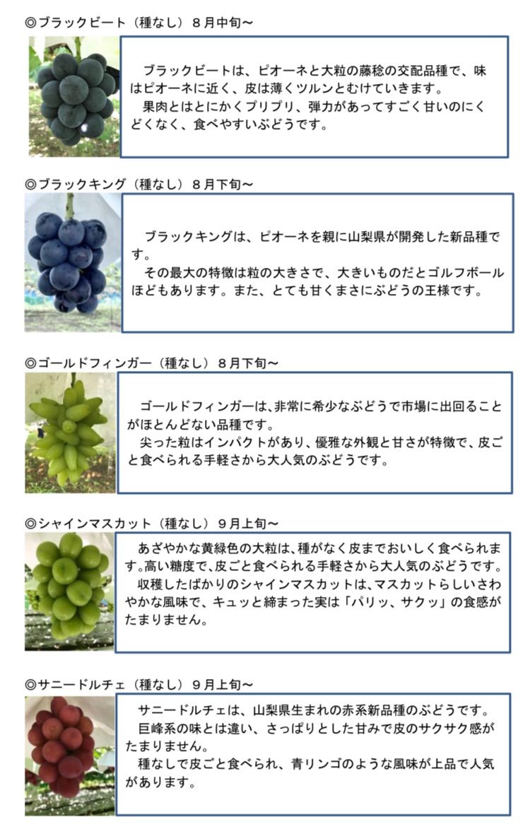 山梨県産 ブドウ ぶどう品種カタログ - メルカリ