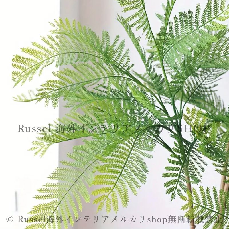エバーフレッシュ 人工観葉植物 室内 ジャカランダ 木 店舗