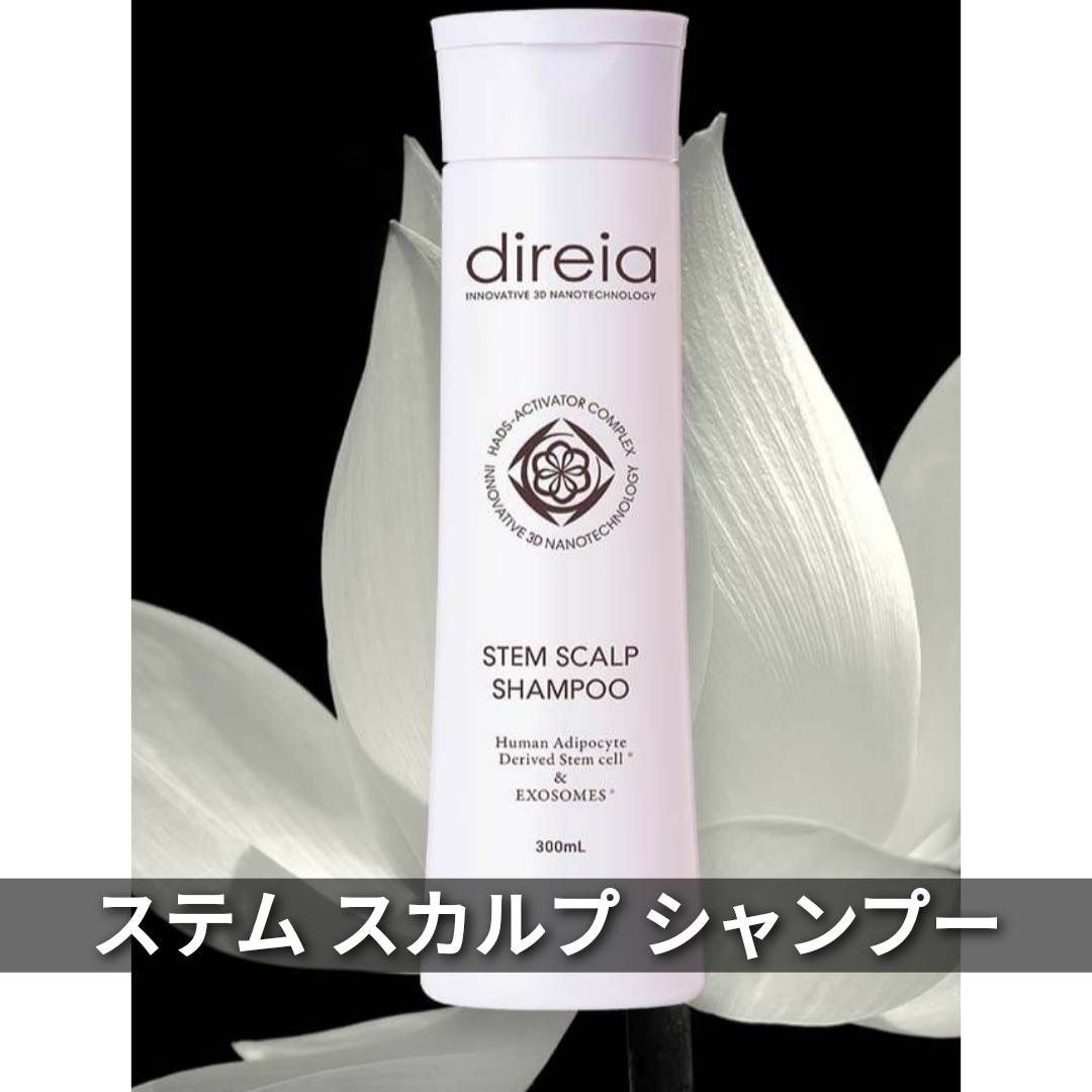 direia ディレイア ステム スカルプ シャンプー 300ml 2本