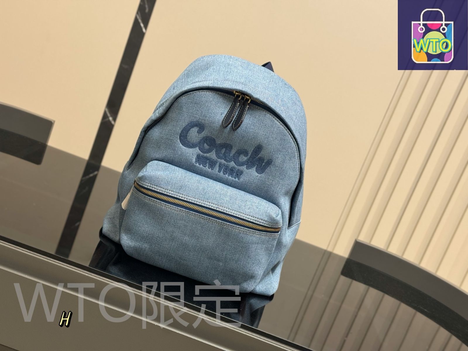 今日WTO】Coach コーチ キャンバス バックパック ベーシックな老