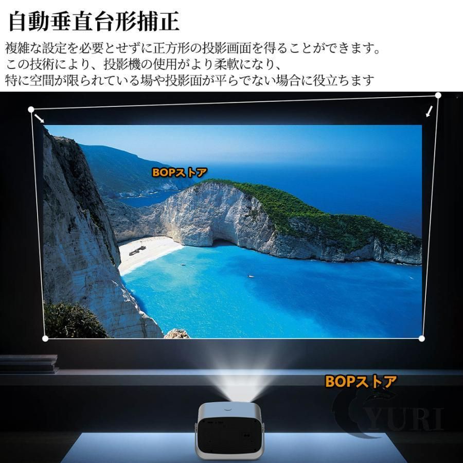 家庭用