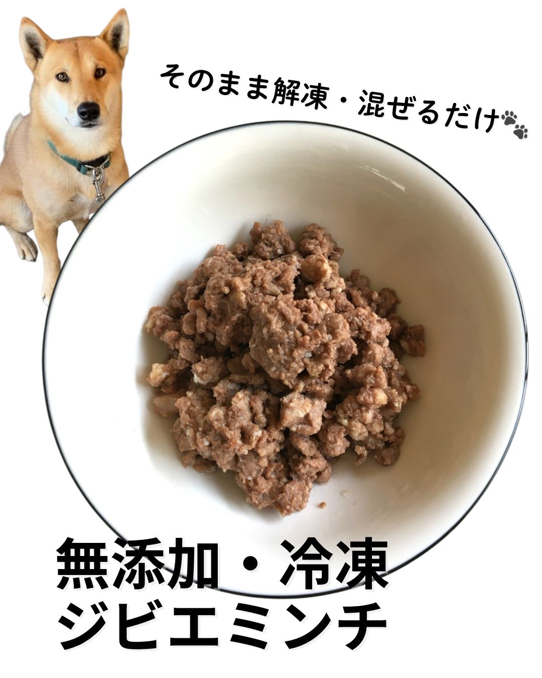 イタリア パラジャンパーズ PJS ブリキ サインボード 看板 店舗