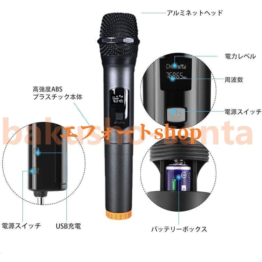 ワイヤレスマイク カラオケ 2本セット ダイナミックマイク