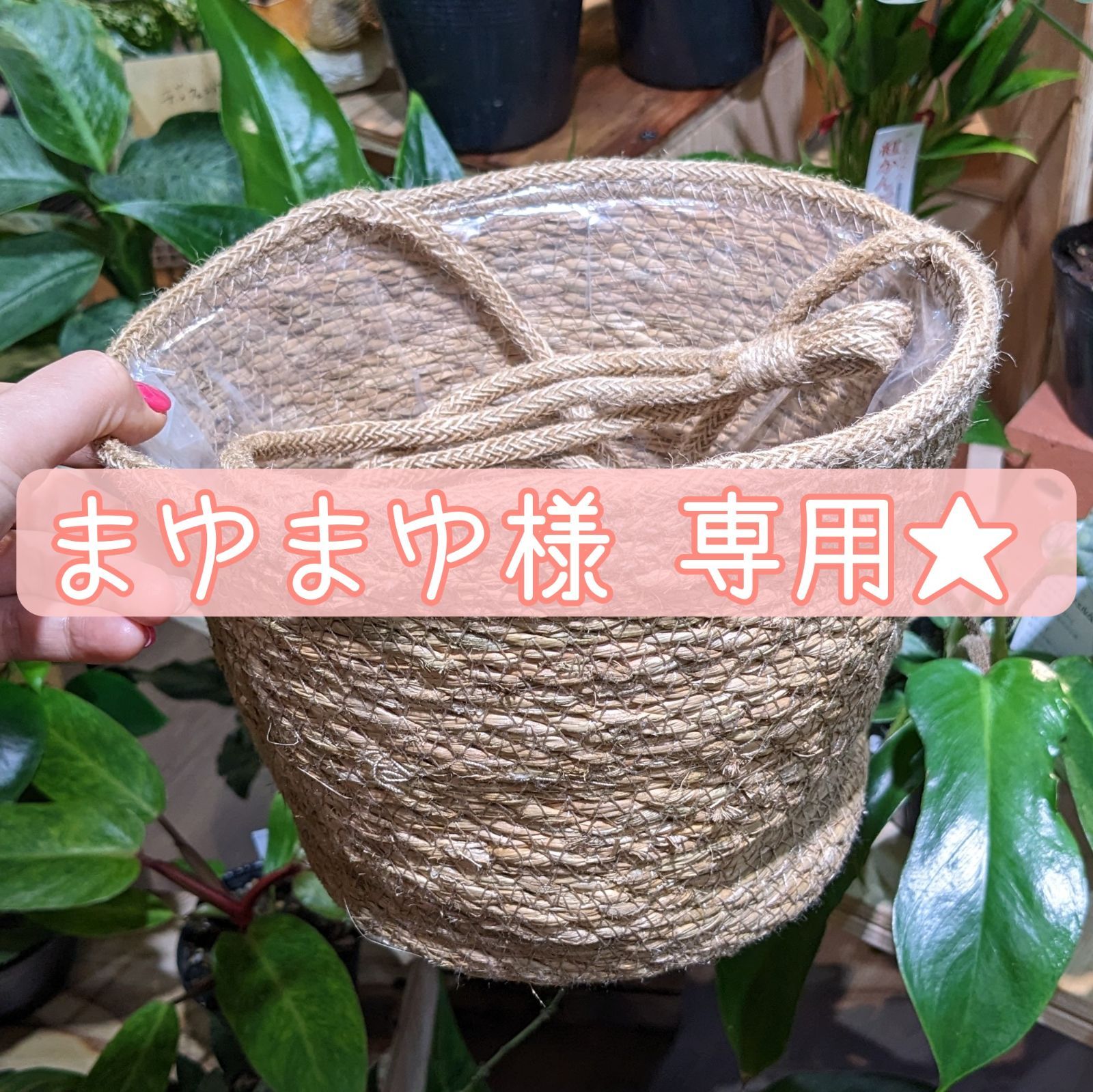 まゆまゆ様専用(*´∀｀)))) - 植物と犬服のお店NOKO's - メルカリ